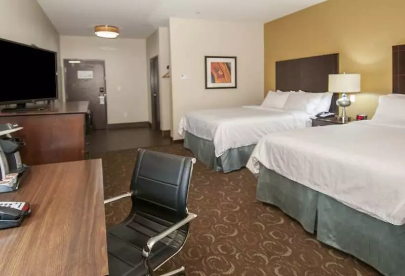 スタンダードルーム, Holiday Inn Express & Suites San Antonio Frost Bank Center, An Ihg