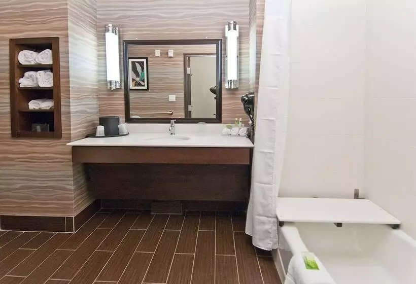 身障者適用スイートルーム, Holiday Inn Express & Suites San Antonio Frost Bank Center, An Ihg