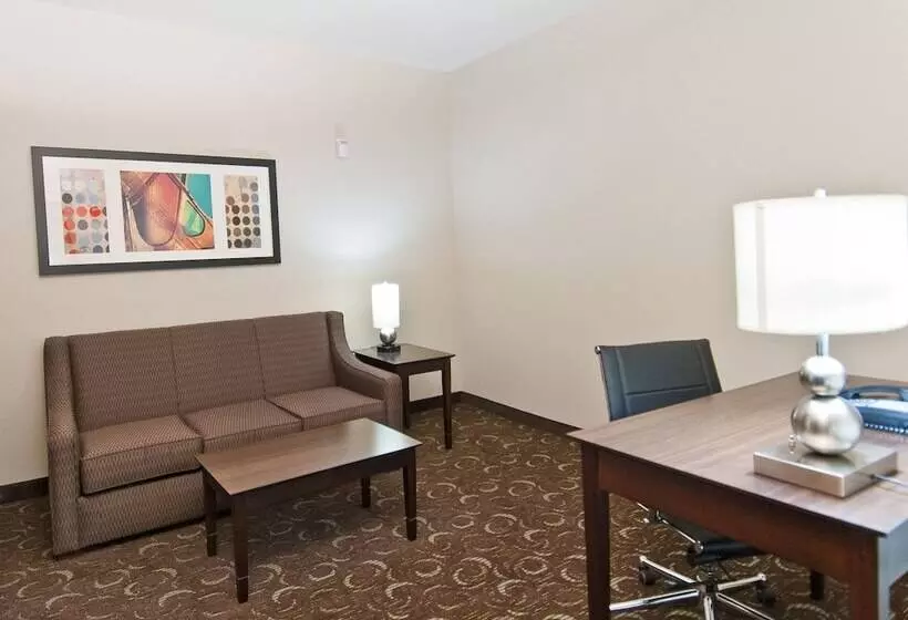 身障者適用スイートルーム, Holiday Inn Express & Suites San Antonio Frost Bank Center, An Ihg