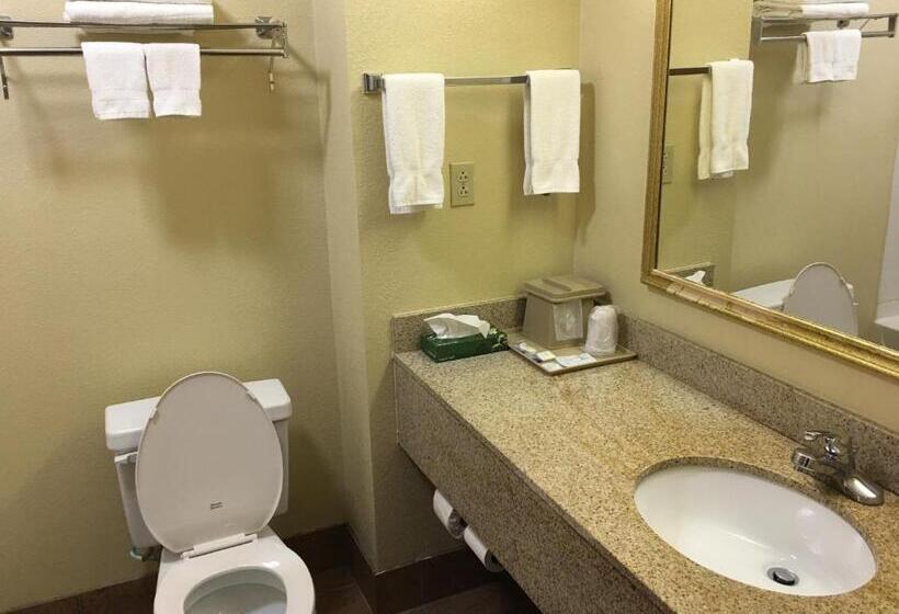 غرفة قياسية سرير كينج, Hometown Innsoddy Daisy