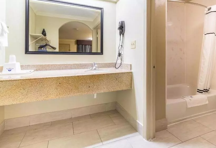 身障者適用キングサイズベッドルーム, Americas Best Value Inn I 45 / Loop 610