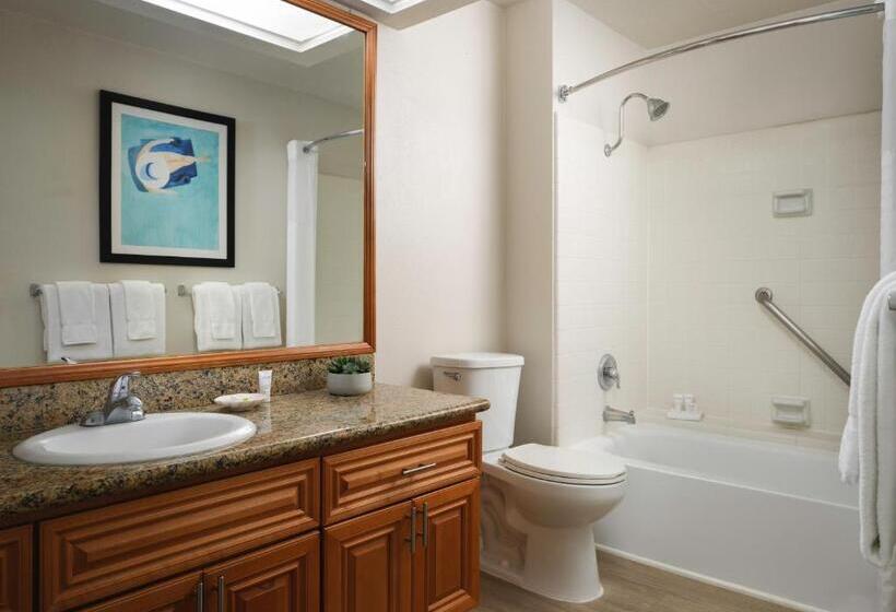 ‫فيلا غرفة نوم واحدة, Hyatt Vacation Club At Desert Oasis