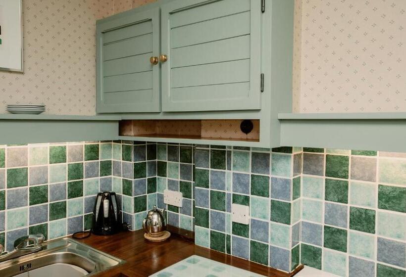 شقة غرفة نوم واحدة بالطابق الأرضى, Galwad Y Mor