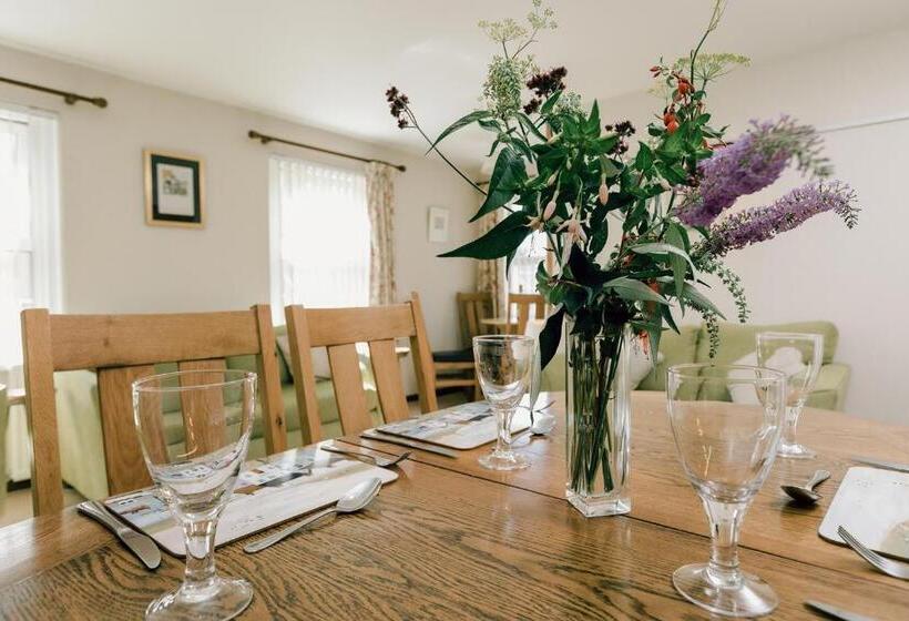 شقة 3 غرف, Galwad Y Mor