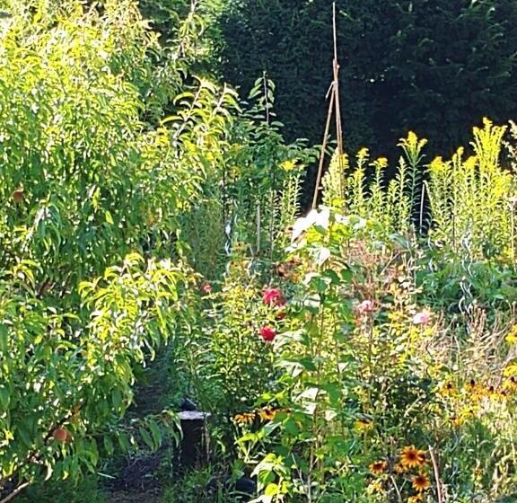 غرفة قياسية حمام مشترك, Au Jardin De La Maison Des Soeurs