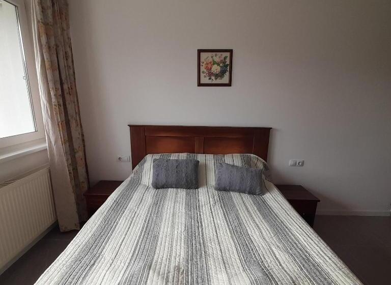 标准间带阳台, Demizson Panzio