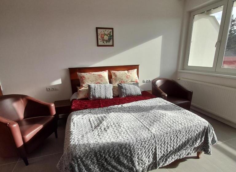 バルコニー付きスタンダードルーム, Demizson Panzio