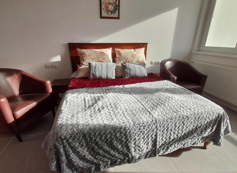 标准间带阳台, Demizson Panzio