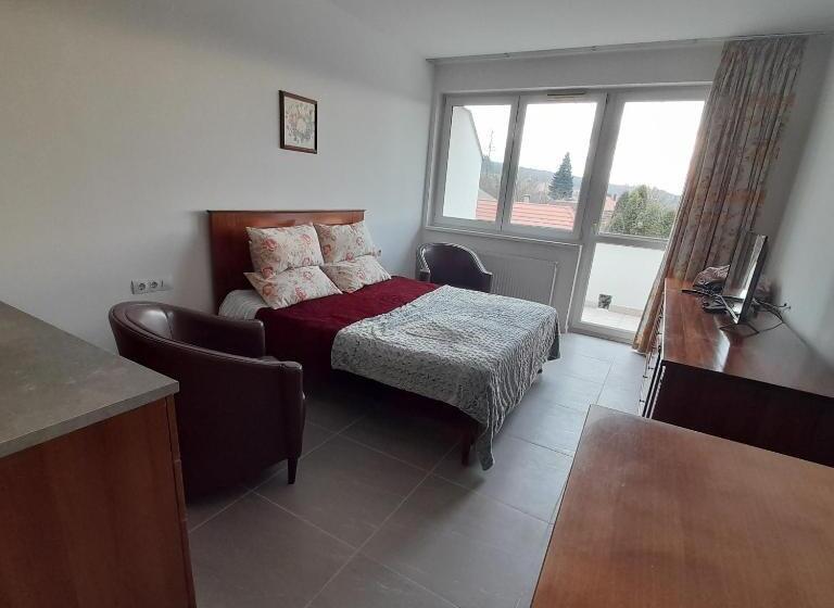 标准间带阳台, Demizson Panzio