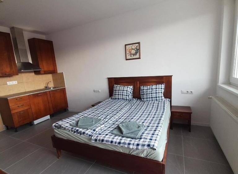 标准间带阳台, Demizson Panzio