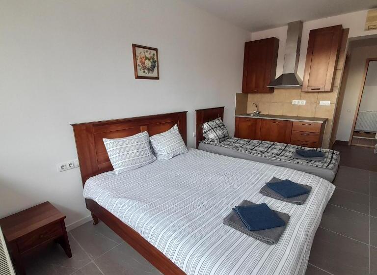 带阳台的三人标准间, Demizson Panzio