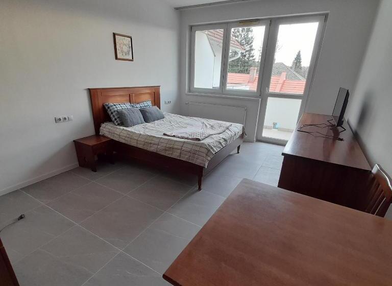 标准间带阳台, Demizson Panzio