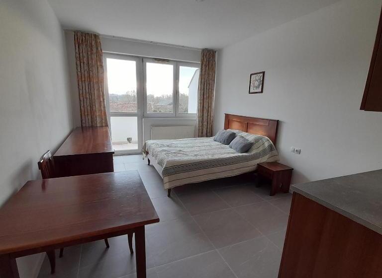 标准间带阳台, Demizson Panzio