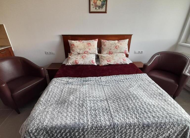 标准间带阳台, Demizson Panzio