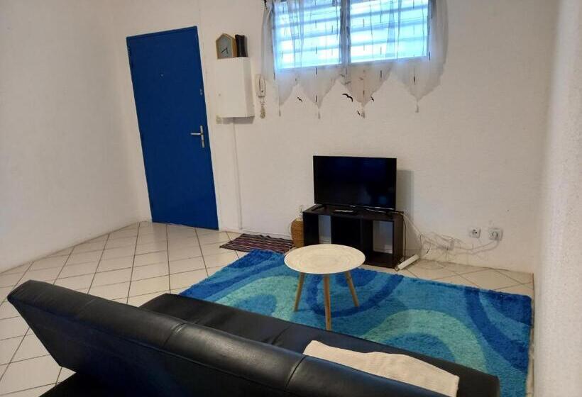 آپارتمان 1 خوابه با تراس, Magnifique T2 Meublé Avec Piscine