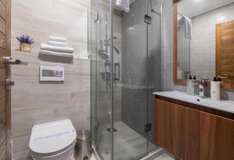 استودیوی استاندارد, Vidik Residence