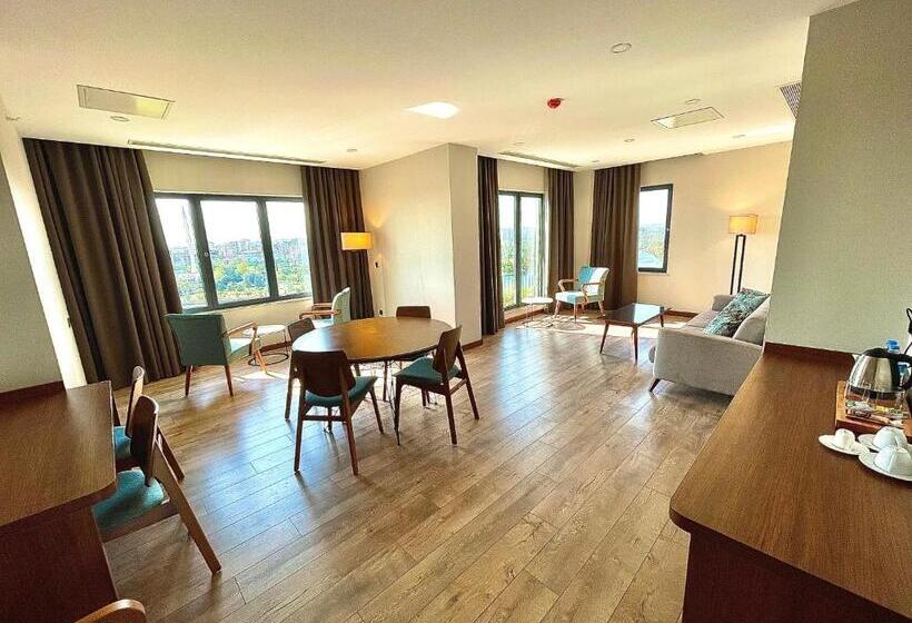 سوئیت با تخت بزرگ, Türkmen Riverside Hotel Adana