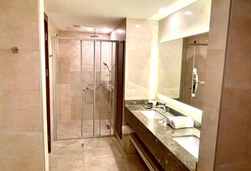 سوئیت با تخت بزرگ, Türkmen Riverside Hotel Adana