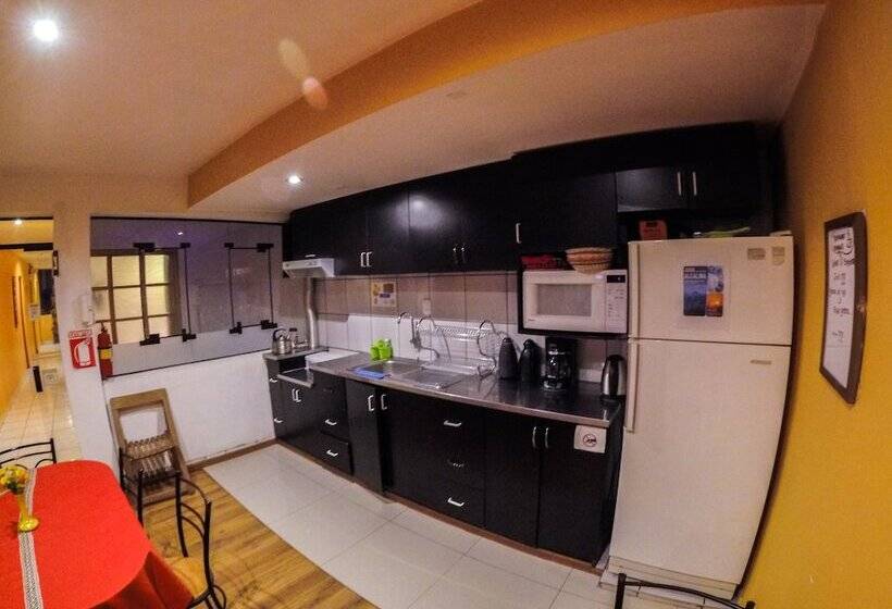 クラシックルーム, Net House Cusco