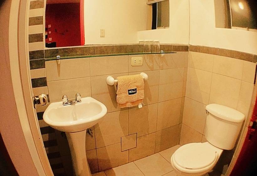 クラシックルーム, Net House Cusco