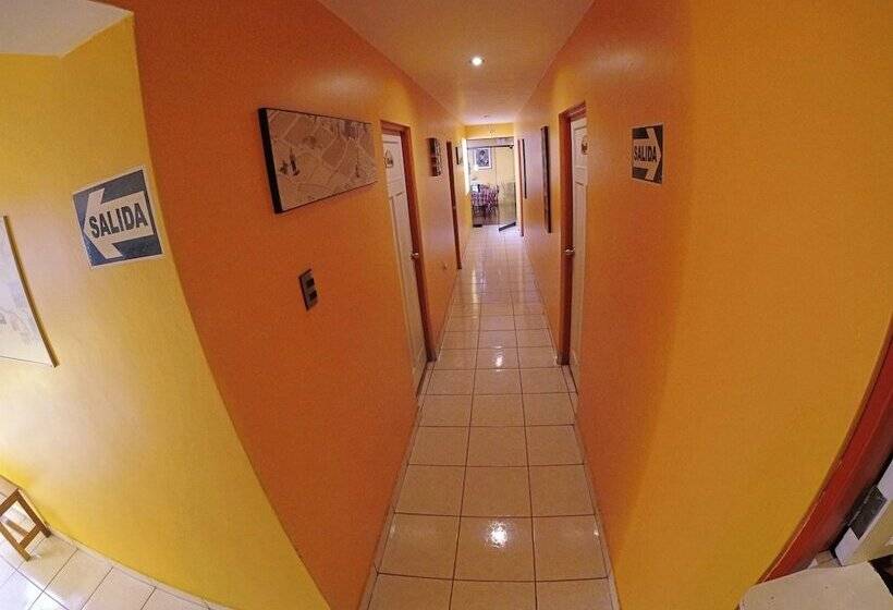 クラシックルーム, Net House Cusco