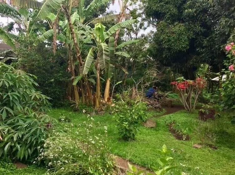اتاق استاندارد سه نفره, Cabañas Moenga