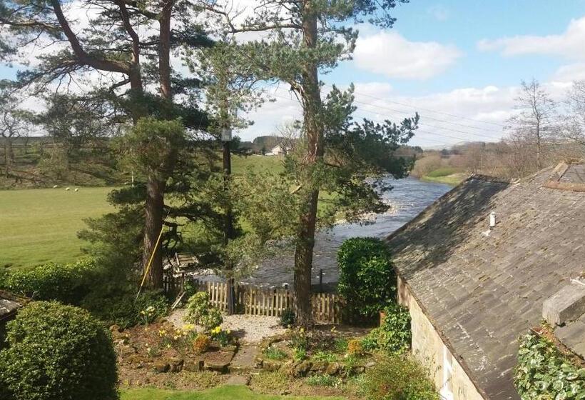 غرفة قياسية, Blackaddie House