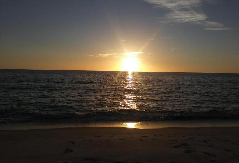 סוויטה, Turtle Crawl Inn  Longboat Key
