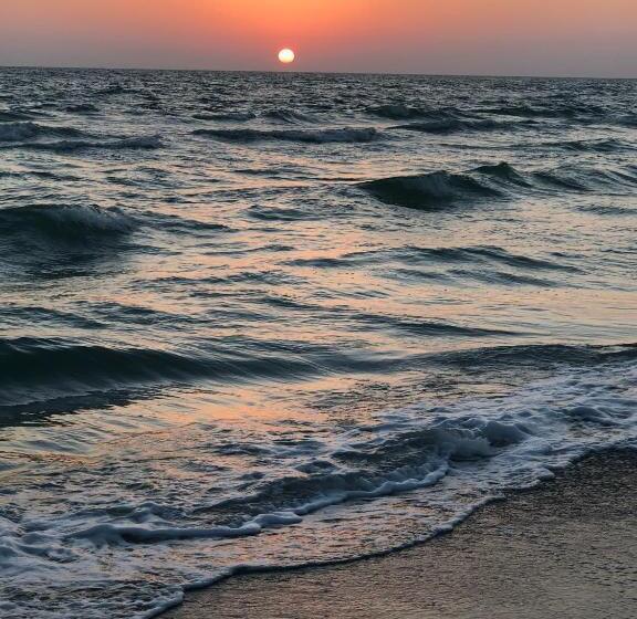 إستوديو قياسى, Turtle Crawl Inn  Longboat Key