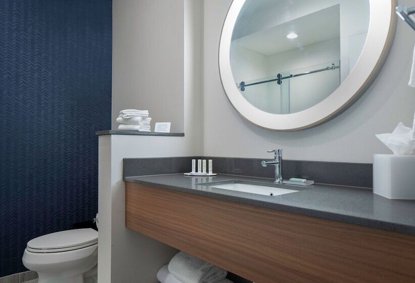 Президентский Люкс, Fairfield By Marriott Inn & Suites Dallas Mckinney