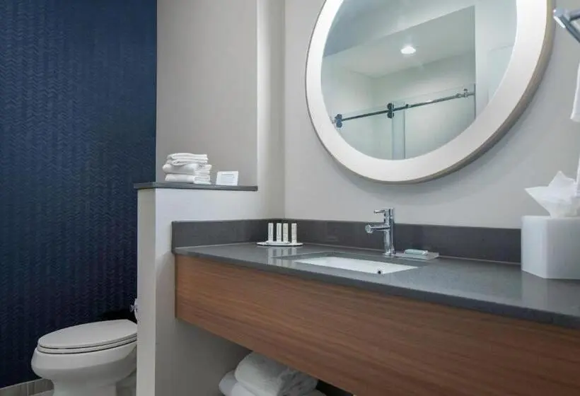 スタンダードルーム, Fairfield By Marriott Inn & Suites Dallas Mckinney