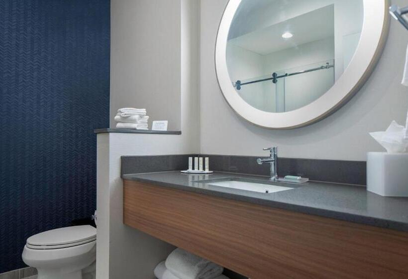Президентский Люкс, Fairfield By Marriott Inn & Suites Dallas Mckinney