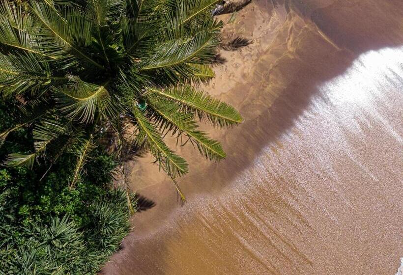 디럭스 룸 바다 전망, The Slow Vegan