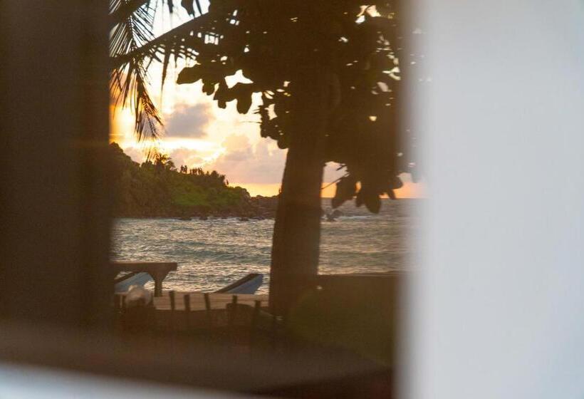 패밀리 룸 바다 전망, The Slow Vegan