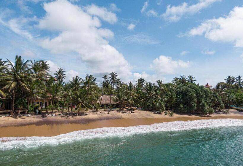 패밀리 스튜디오, The Slow Vegan