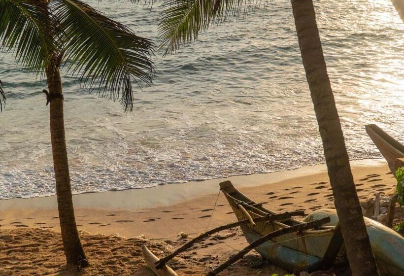 스탠다드 룸 바다 전망, The Slow Vegan