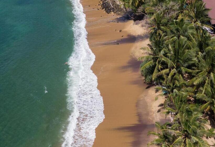 디럭스 룸 바다 전망, The Slow Vegan