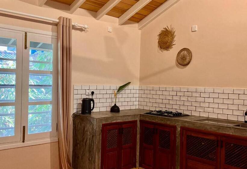 패밀리 스튜디오, The Slow Vegan