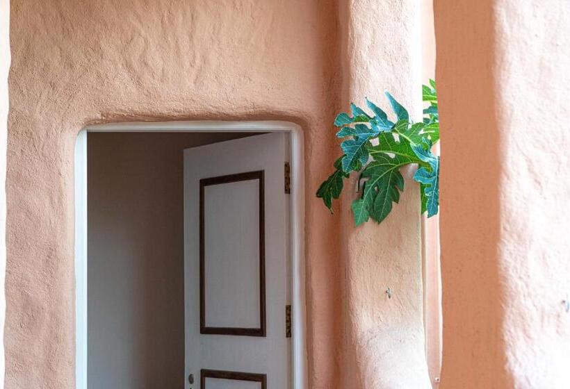 스탠다드 룸 바다 전망, The Slow Vegan