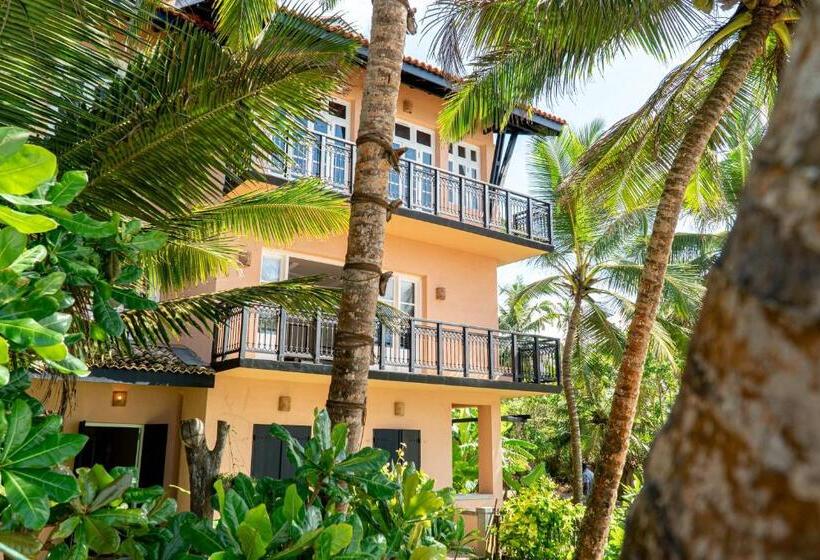 스탠다드 룸 바다 전망, The Slow Vegan