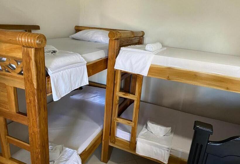 חדר סטנדרט לארבעה, Sweet Dreams Necocli