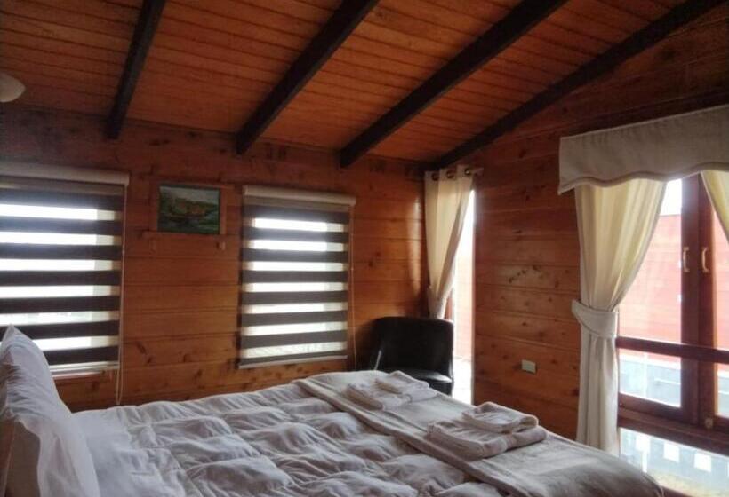 غرفة قياسية, Hostal Caulle