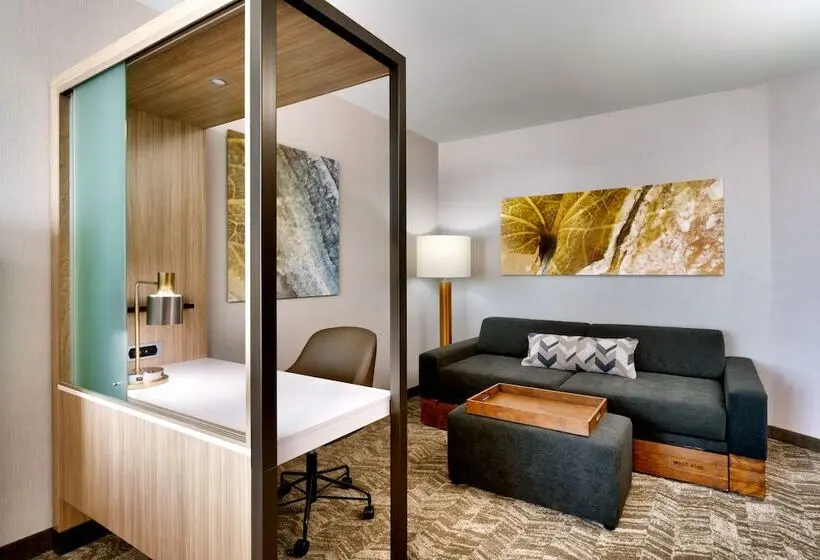 身障者適用スイートルーム, Springhill Suites By Marriott Cottonwood