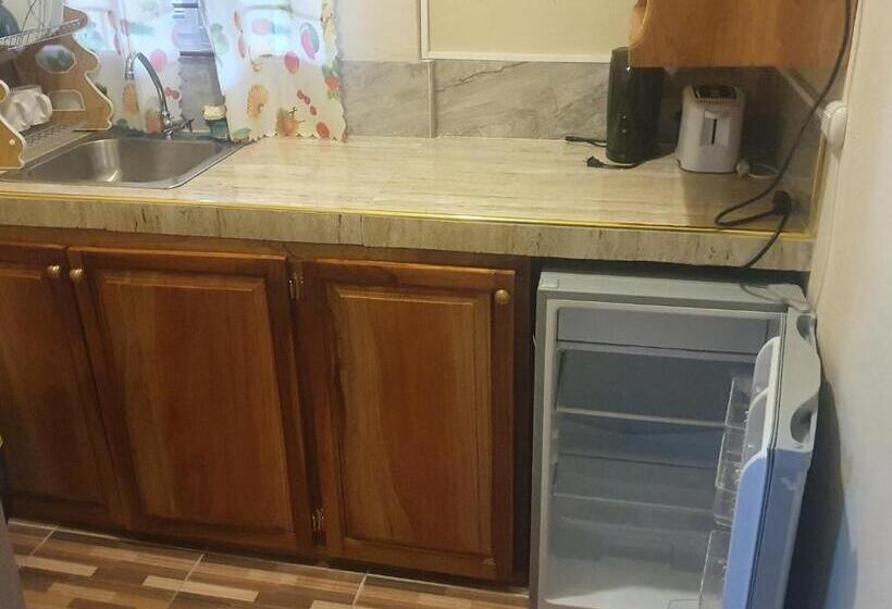 اتاق اکونومی, Mesmerize Guest House