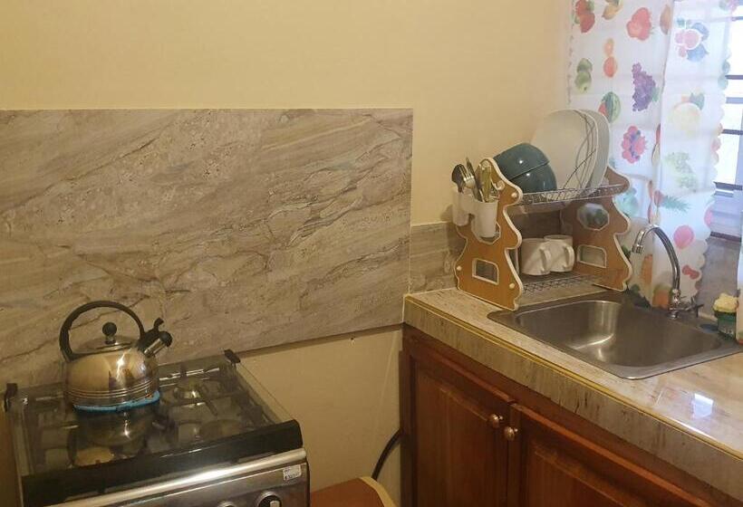 اتاق اکونومی, Mesmerize Guest House