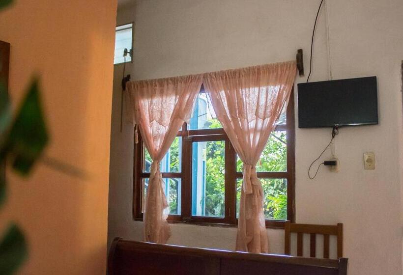 اتاق استاندارد, Rabin Itzam