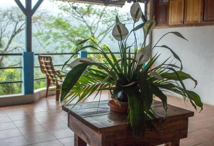 اتاق اکونومی, Rabin Itzam