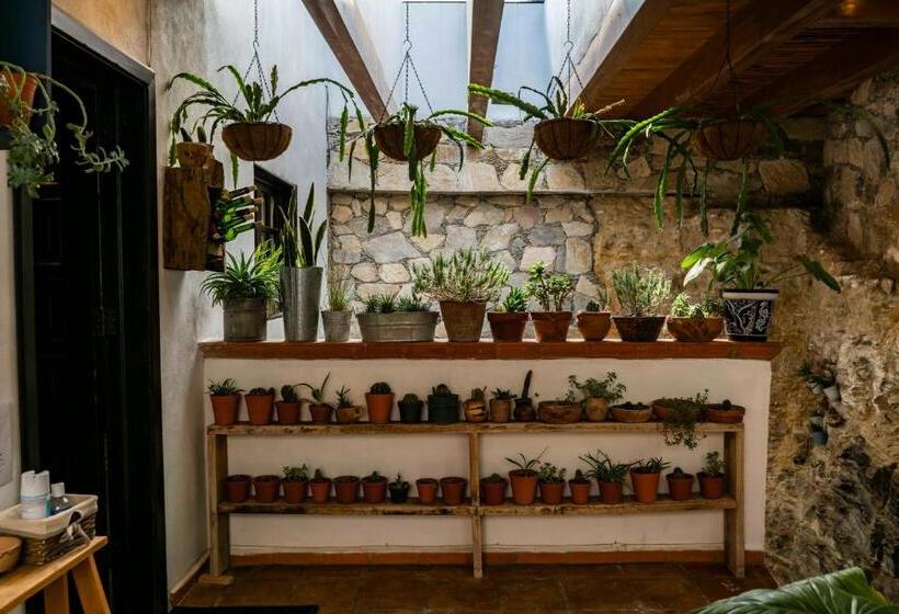 סטודיו משפחתי, Villa Mosaico   Luxury Lofts