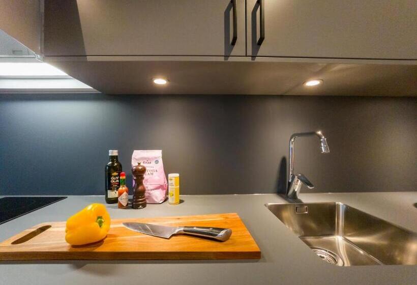 استودیو استاندارد با بالکن, Uppsala Hotel Apartments