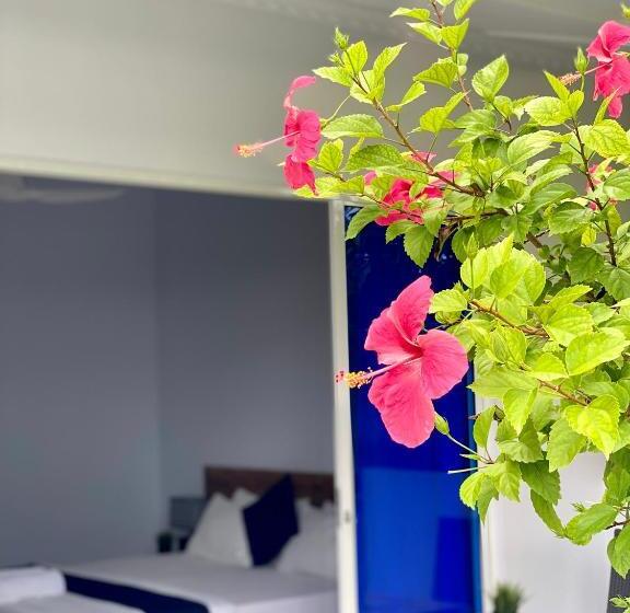 اتاق استاندارد با چشم‌انداز باغ, Tides Dhigurah